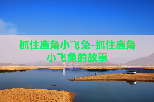 抓住鹿角小飞兔-抓住鹿角小飞兔的故事