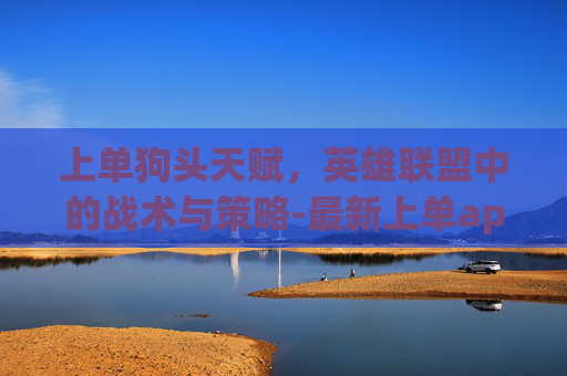 上单狗头天赋，英雄联盟中的战术与策略-最新上单ap狗头天赋