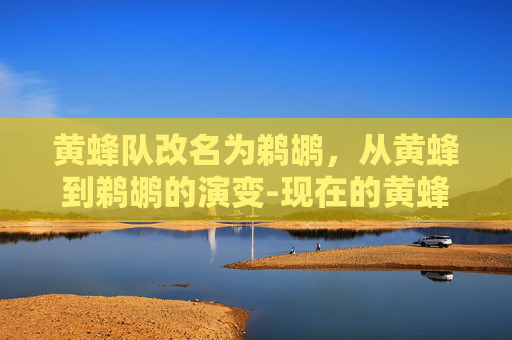 黄蜂队改名为鹈鹕，从黄蜂到鹈鹕的演变-现在的黄蜂队和鹈鹕什么关系