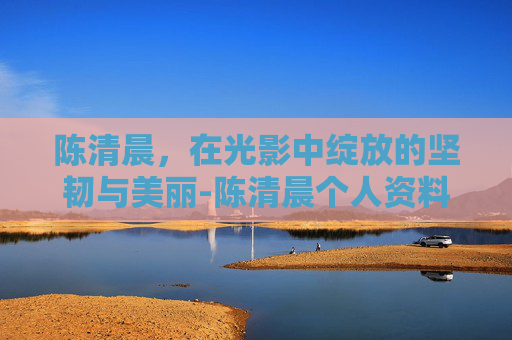 陈清晨，在光影中绽放的坚韧与美丽-陈清晨个人资料