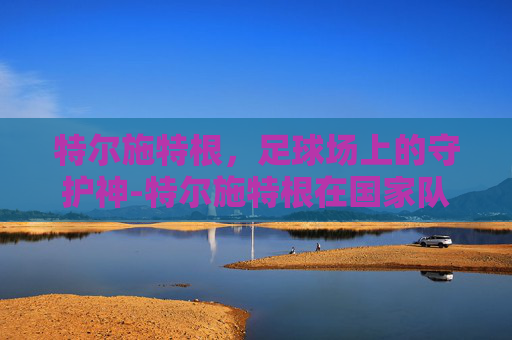 特尔施特根，足球场上的守护神-特尔施特根在国家队出过场吗