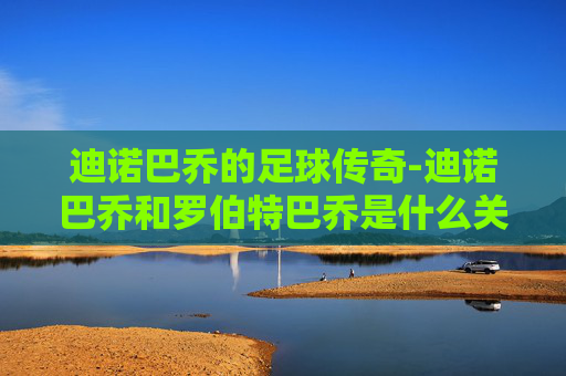 迪诺巴乔的足球传奇-迪诺巴乔和罗伯特巴乔是什么关系