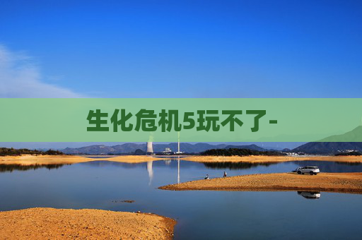 生化危机5玩不了-