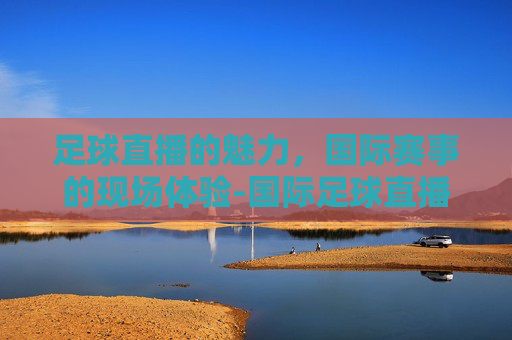 足球直播的魅力，国际赛事的现场体验-国际足球直播免费观看