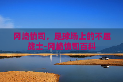 冈崎慎司，足球场上的不屈战士-冈崎慎司百科