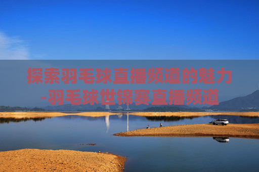 探索羽毛球直播频道的魅力-羽毛球世锦赛直播频道