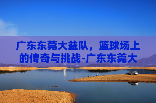 广东东莞大益队，篮球场上的传奇与挑战-广东东莞大益队球员名单