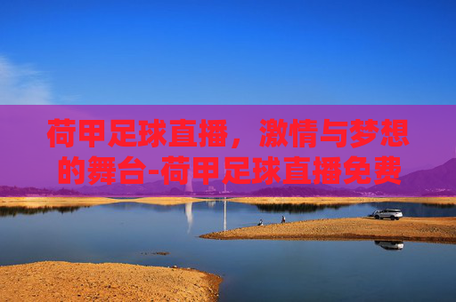 荷甲足球直播，激情与梦想的舞台-荷甲足球直播免费观看