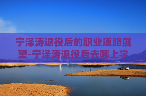 宁泽涛退役后的职业道路展望-宁泽涛退役后去哪上学