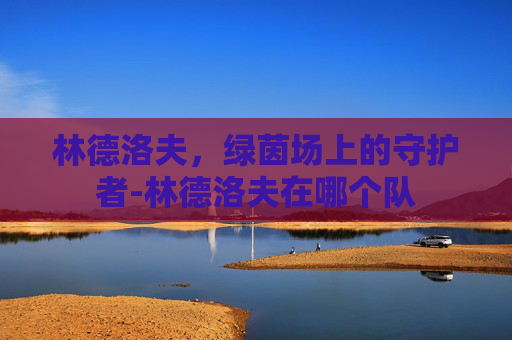 林德洛夫，绿茵场上的守护者-林德洛夫在哪个队