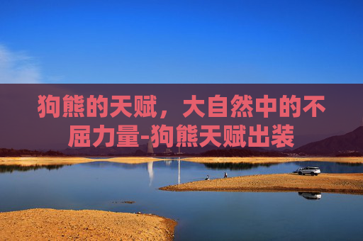 狗熊的天赋，大自然中的不屈力量-狗熊天赋出装