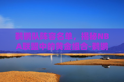 鹈鹕队阵容名单，揭秘NBA联盟中的黄金组合-鹈鹕队阵容名单nba百科