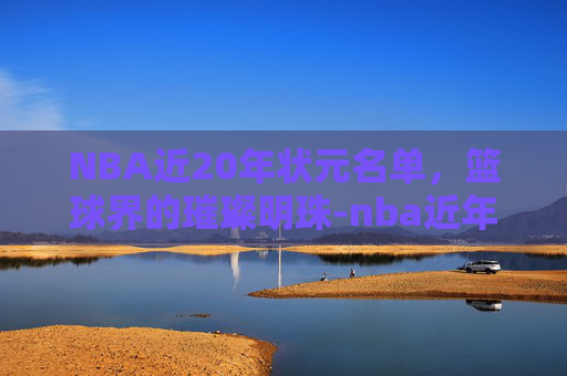 NBA近20年状元名单，篮球界的璀璨明珠-nba近年的状元