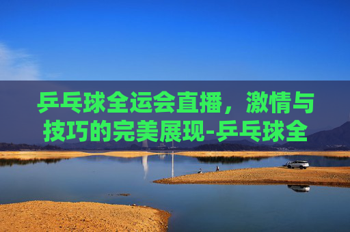 乒乓球全运会直播，激情与技巧的完美展现-乒乓球全运会直播在线观看