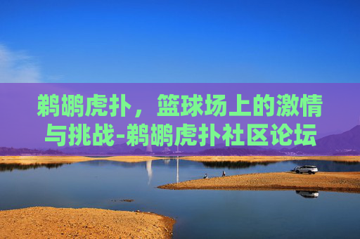 鹈鹕虎扑，篮球场上的激情与挑战-鹈鹕虎扑社区论坛