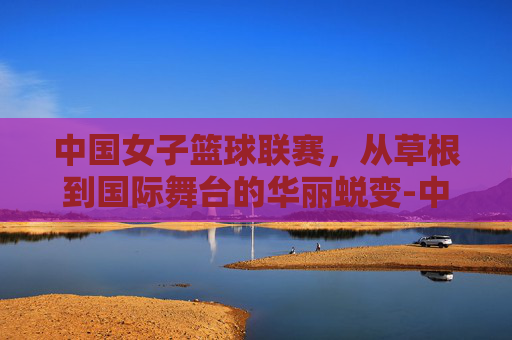 中国女子篮球联赛，从草根到国际舞台的华丽蜕变-中国女子篮球联赛总决赛第五场