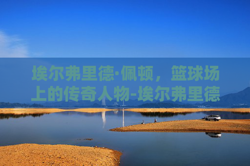 埃尔弗里德·佩顿，篮球场上的传奇人物-埃尔弗里德佩顿发型