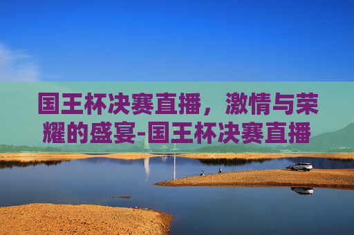 国王杯决赛直播，激情与荣耀的盛宴-国王杯决赛直播在线观看