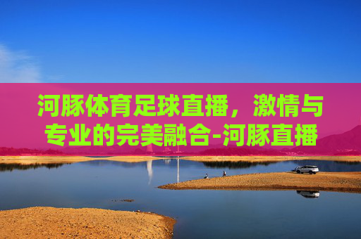 河豚体育足球直播，激情与专业的完美融合-河豚直播足球赛事
