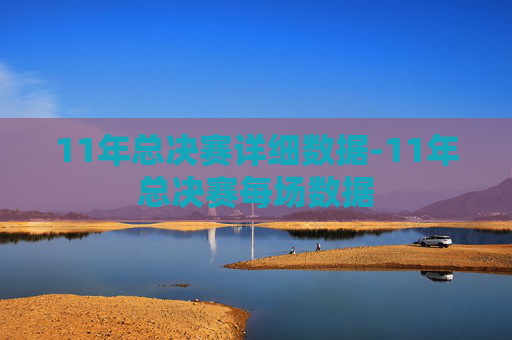 11年总决赛详细数据-11年总决赛每场数据
