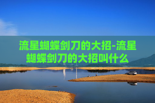 流星蝴蝶剑刀的大招-流星蝴蝶剑刀的大招叫什么