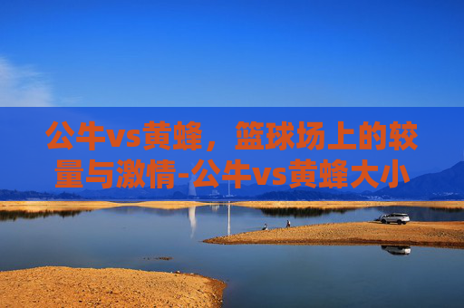 公牛vs黄蜂，篮球场上的较量与激情-公牛vs黄蜂大小分预测