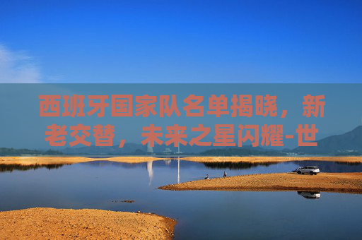 西班牙国家队名单揭晓，新老交替，未来之星闪耀-世界杯西班牙国家队名单