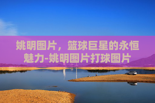 姚明图片，篮球巨星的永恒魅力-姚明图片打球图片