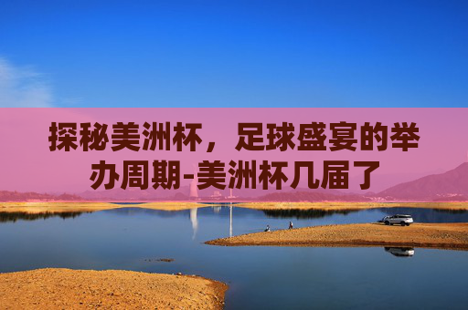 探秘美洲杯，足球盛宴的举办周期-美洲杯几届了