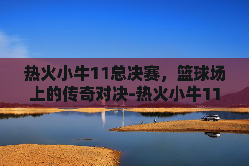 热火小牛11总决赛，篮球场上的传奇对决-热火小牛11总决赛詹姆斯数据