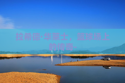 拉希德·华莱士，篮球场上的传奇-