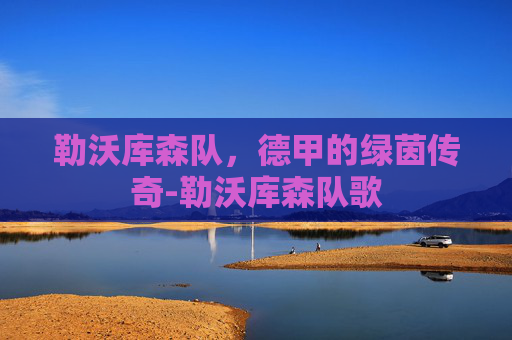 勒沃库森队，德甲的绿茵传奇-勒沃库森队歌