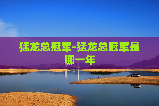 猛龙总冠军-猛龙总冠军是哪一年