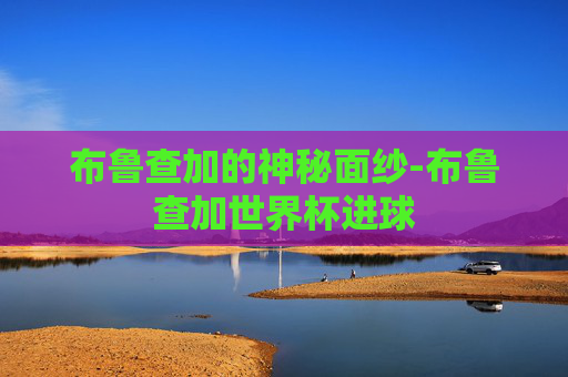 布鲁查加的神秘面纱-布鲁查加世界杯进球