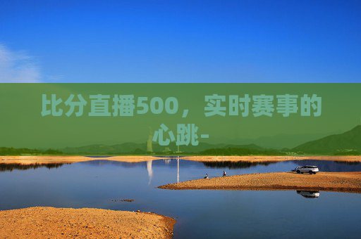 比分直播500，实时赛事的心跳-
