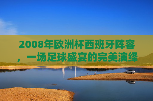 2008年欧洲杯西班牙阵容，一场足球盛宴的完美演绎-2008年欧洲杯西班牙夺冠之路
