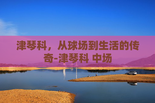 津琴科，从球场到生活的传奇-津琴科 中场