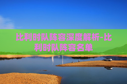 比利时队阵容深度解析-比利时队阵容名单