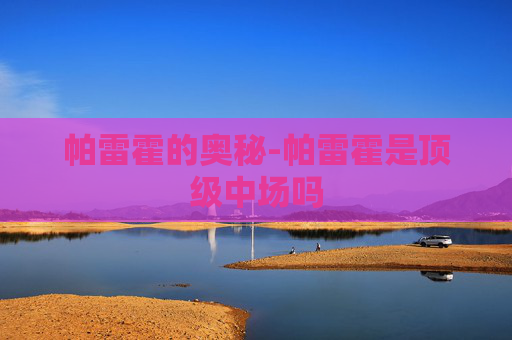 帕雷霍的奥秘-帕雷霍是顶级中场吗