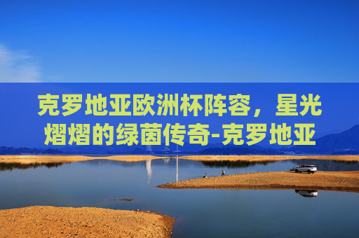 克罗地亚欧洲杯阵容，星光熠熠的绿茵传奇-克罗地亚欧洲杯阵容图
