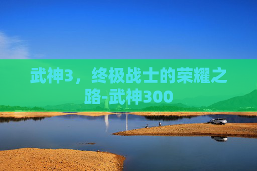 武神3，终极战士的荣耀之路-武神300