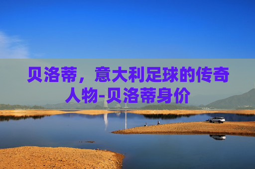 贝洛蒂，意大利足球的传奇人物-贝洛蒂身价