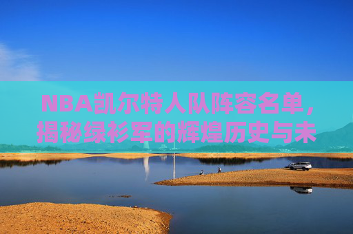 NBA凯尔特人队阵容名单，揭秘绿衫军的辉煌历史与未来展望-nba凯尔特人队队员名单