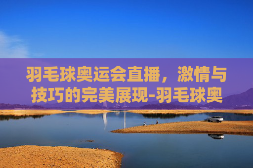 羽毛球奥运会直播，激情与技巧的完美展现-羽毛球奥运会直播回放
