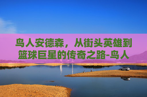 鸟人安德森，从街头英雄到篮球巨星的传奇之路-鸟人安德森有几个总冠军戒指