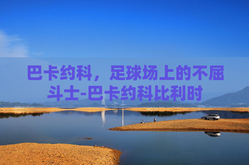 巴卡约科，足球场上的不屈斗士-巴卡约科比利时