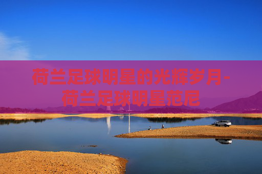 荷兰足球明星的光辉岁月-荷兰足球明星范尼