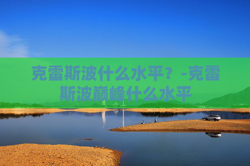 克雷斯波什么水平？-克雷斯波巅峰什么水平