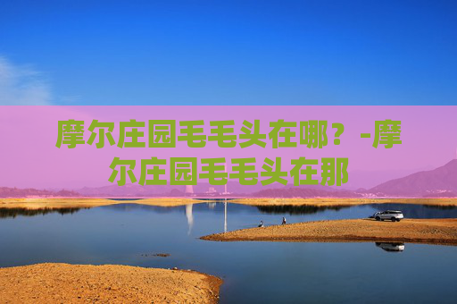 摩尔庄园毛毛头在哪？-摩尔庄园毛毛头在那