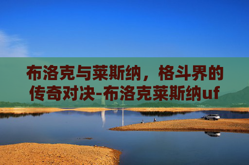 布洛克与莱斯纳，格斗界的传奇对决-布洛克莱斯纳ufc